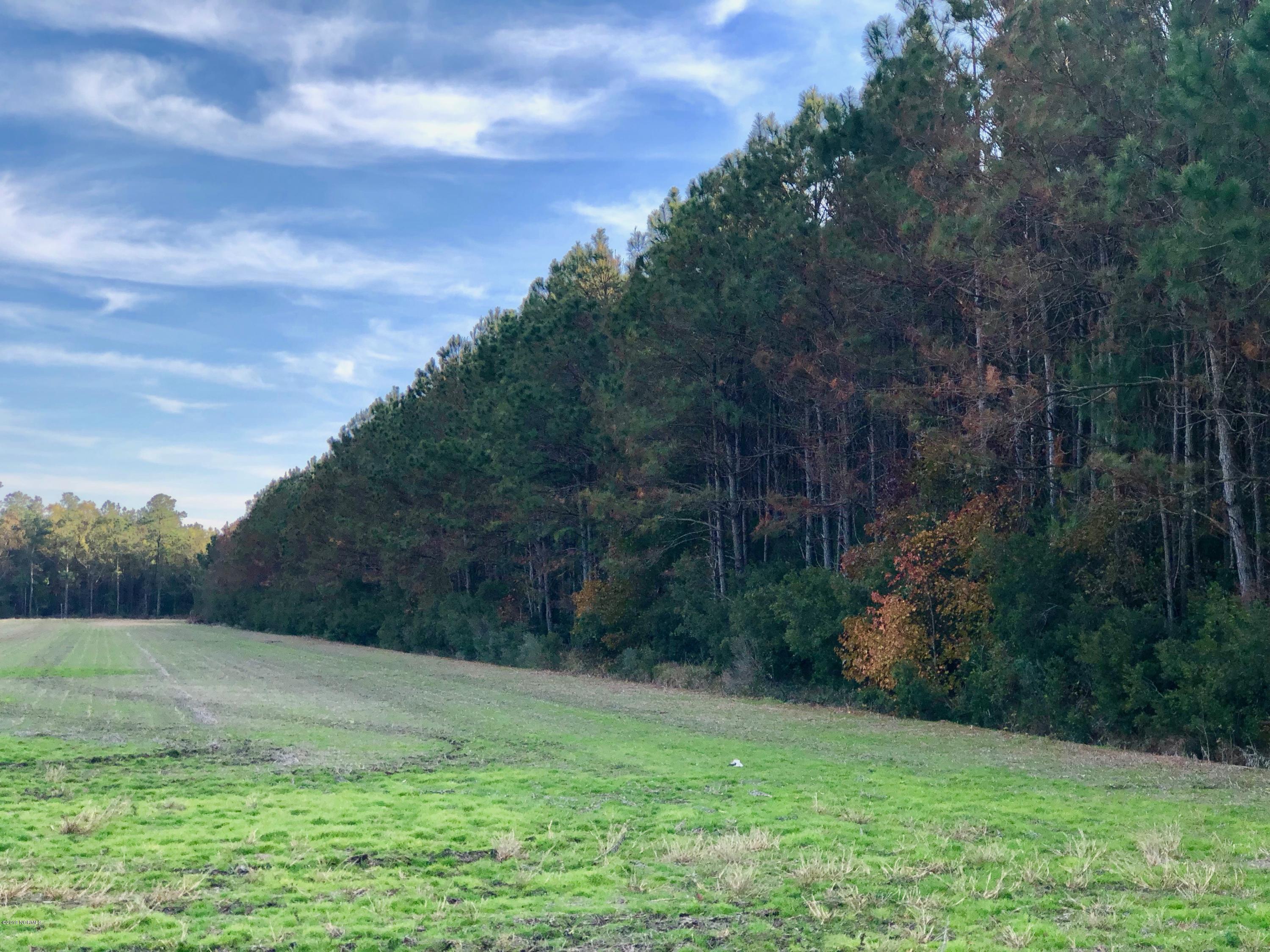 Lot #1 Hodges Road Scranton, NC 27875 - Photo 6 of 9 IMG_1965