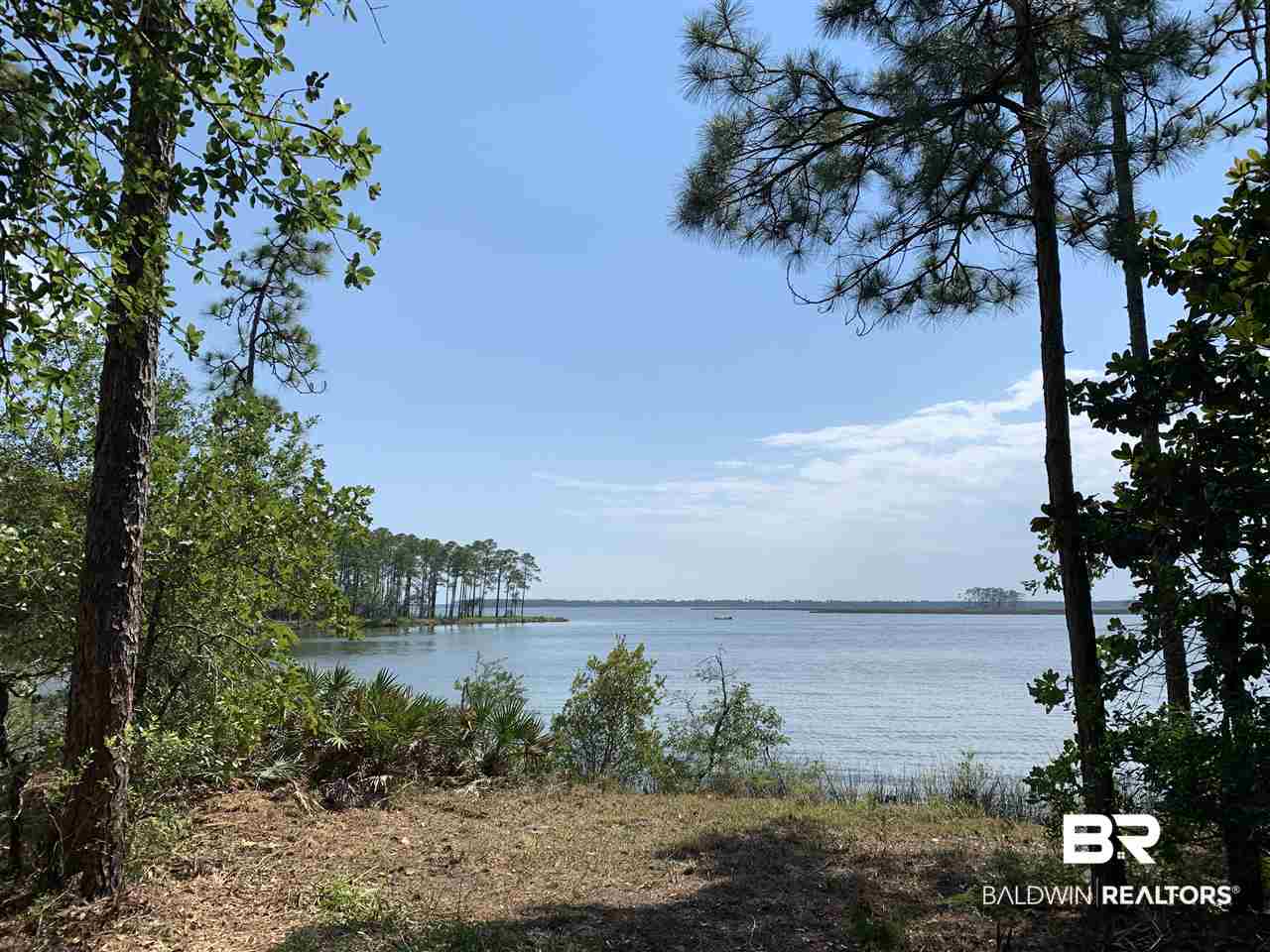 Yucatan Drive Elberta, AL 36530 - Photo 5 of 15