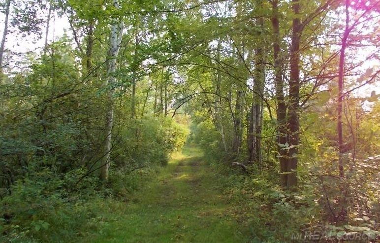 0 Patterson Road Ubly, MI 48475 - Photo 1 of 5
