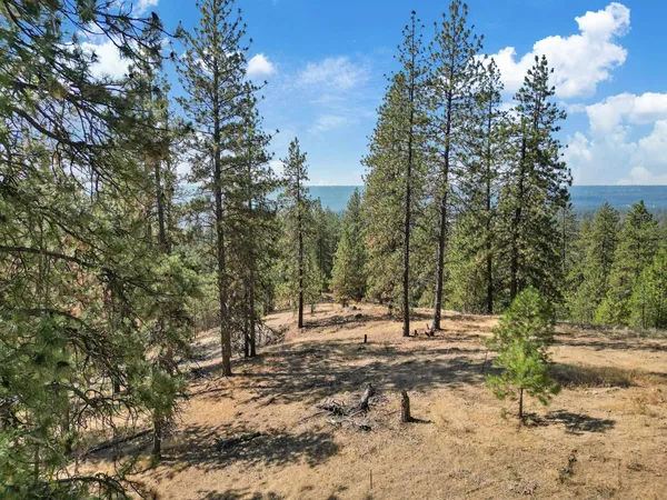 $79,000 | Nka Nka Way, Unit LOT 3 OF LOT 7, Nine Mile Falls, WA 99026