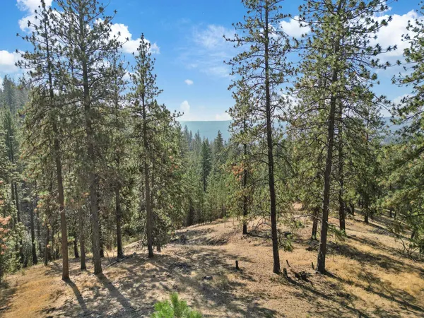$79,000 | Nka Nka Way, Unit LOT 3 OF LOT 7, Nine Mile Falls, WA 99026