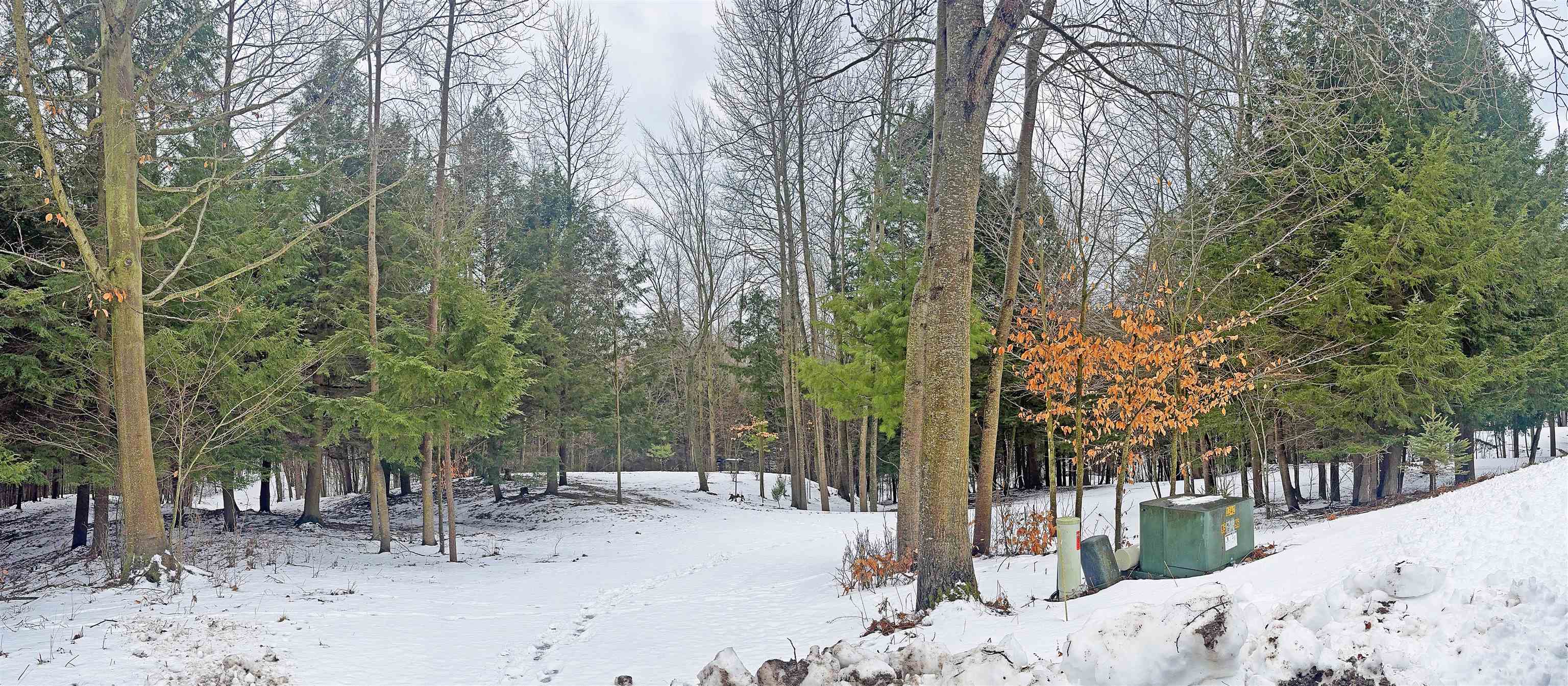 82-107 Moon Ridge Road, Unit LOT: 82,107 Onekama, MI 49675 - Photo 7 of 48