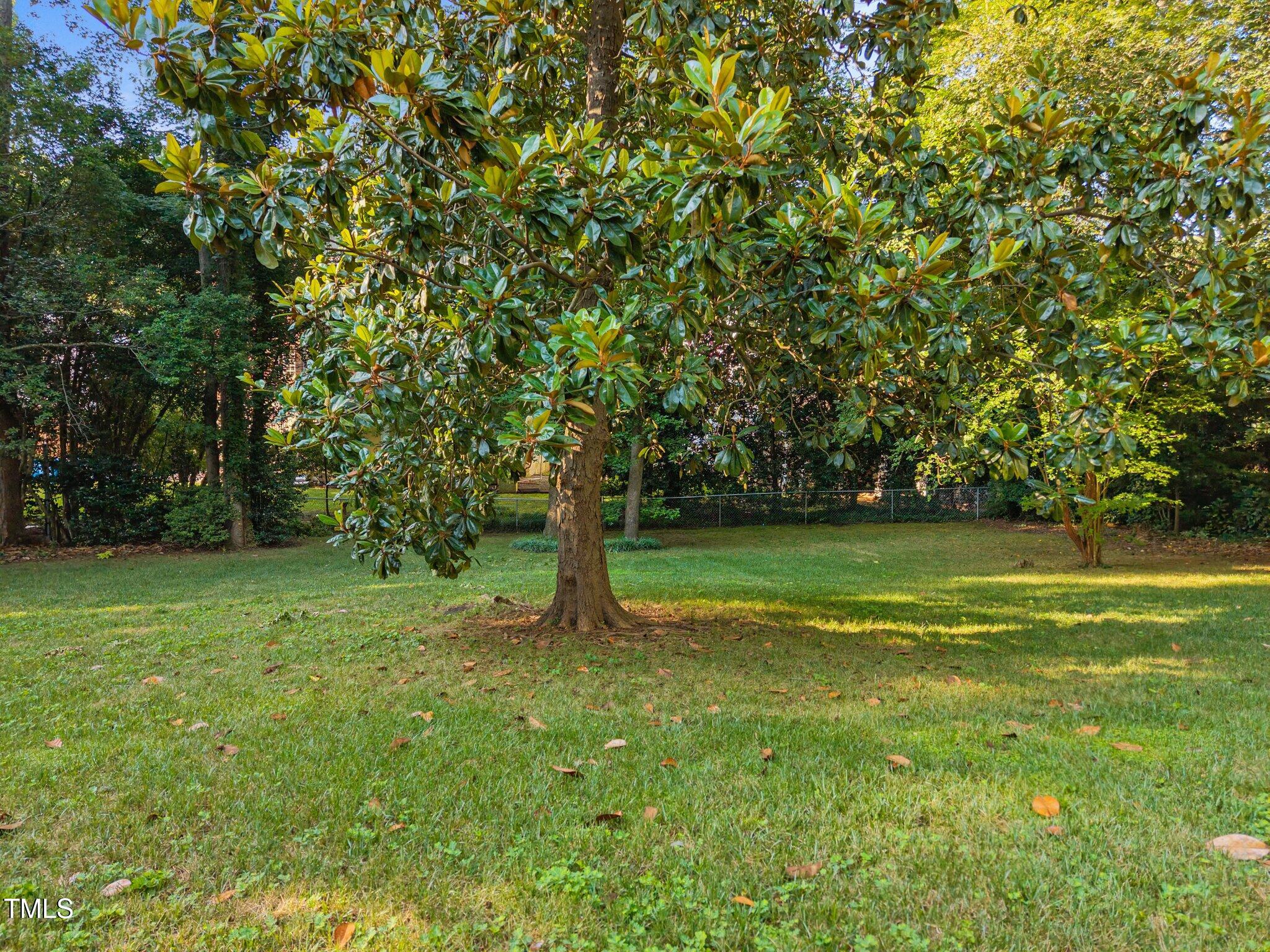 227 West Drewry Lane Raleigh, NC 27609 - Photo 32 of 32 4-web-or-mls-DJI_20250623083440_0196_D