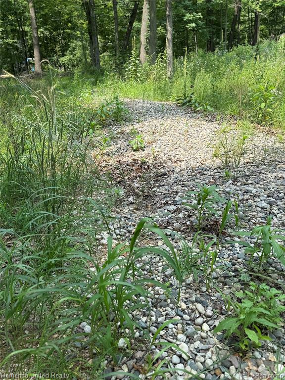 5550 Fisher Road Howell, MI 48855 - Photo 3 of 8