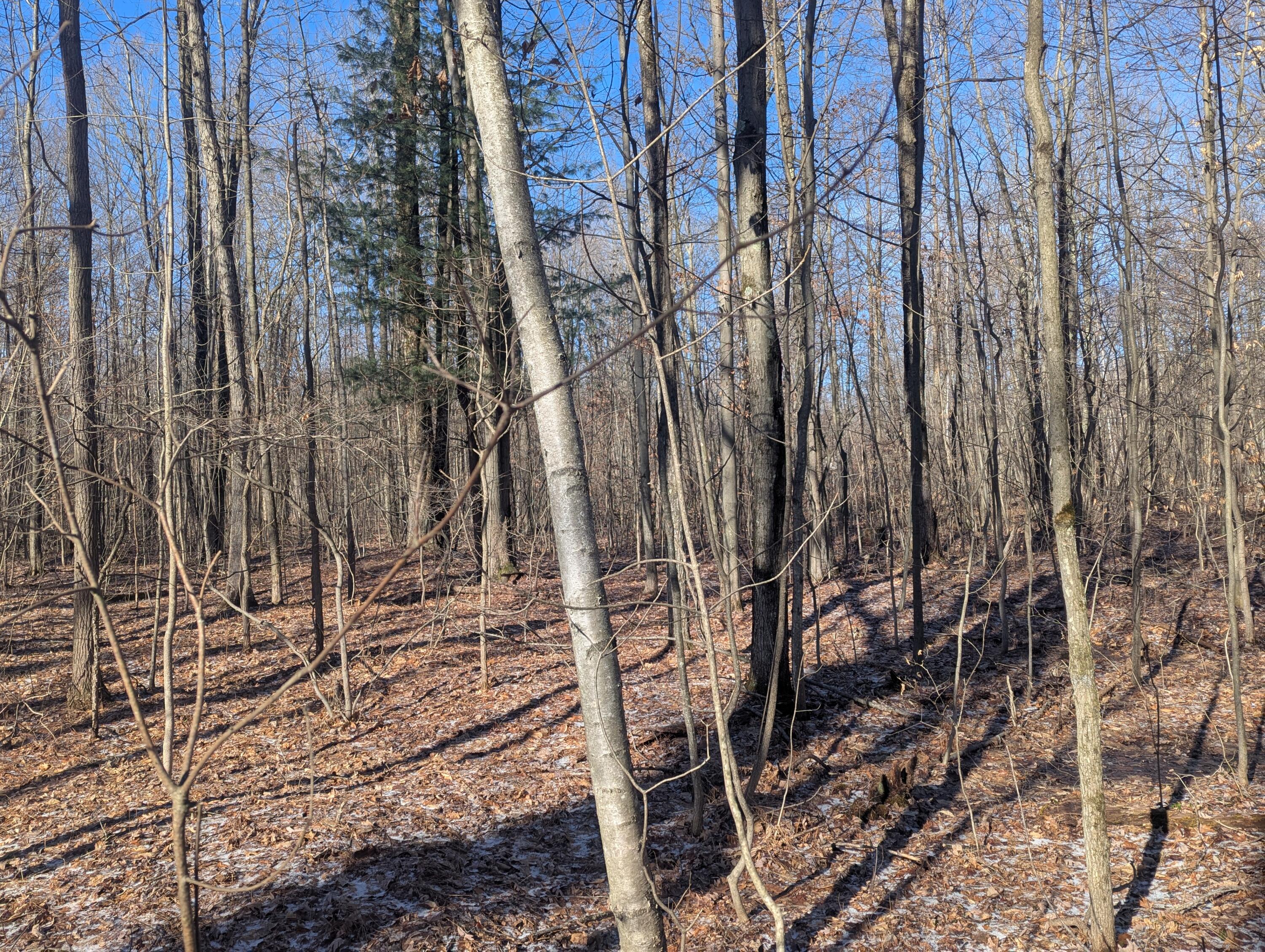 0 East Road Montrose, MI 48457 - Photo 12 of 14 PXL_20260314_144052286