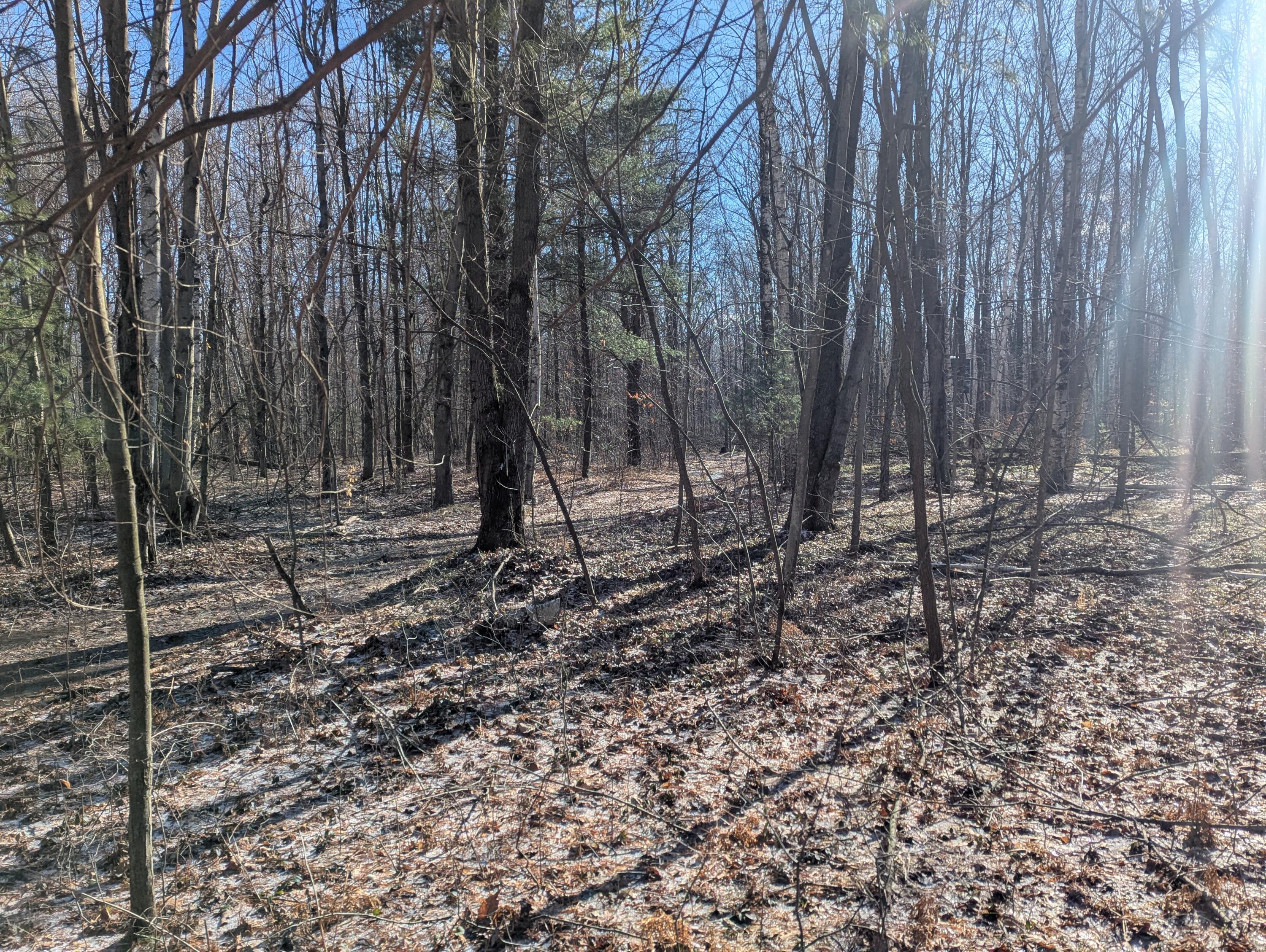 0 East Road Montrose, MI 48457 - Photo 13 of 14 PXL_20260314_144648959