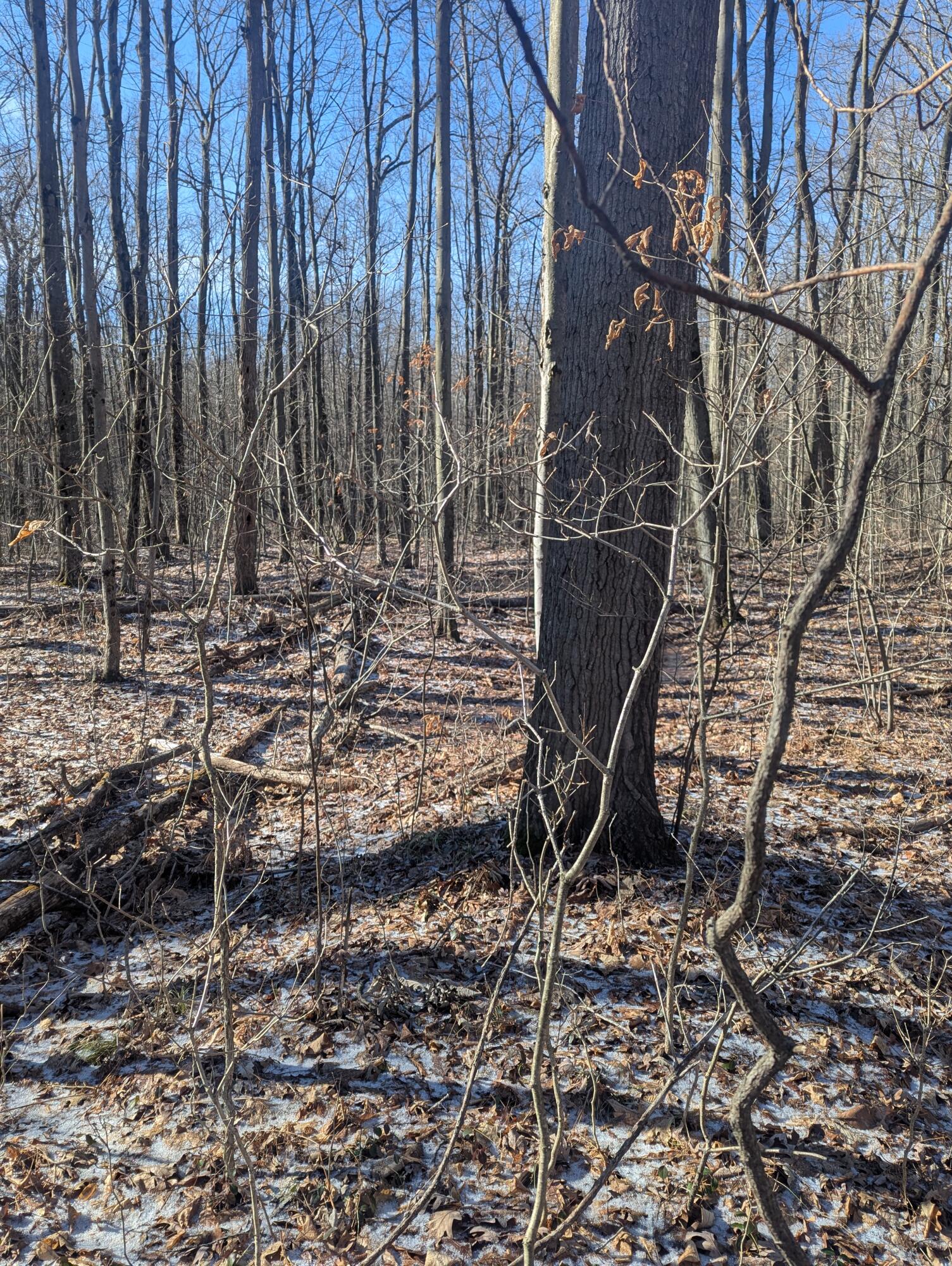 0 East Road Montrose, MI 48457 - Photo 3 of 14 PXL_20260314_144044054