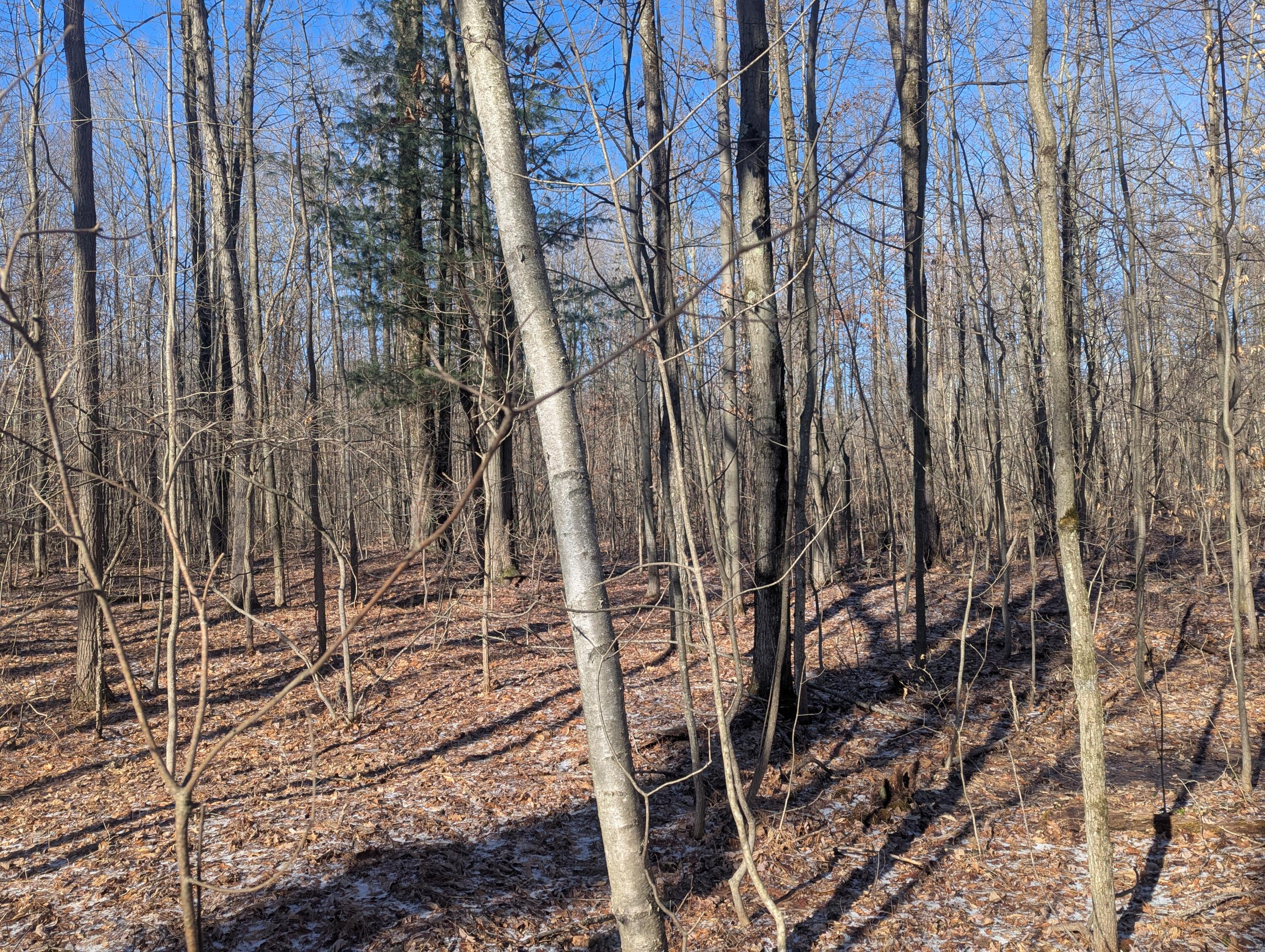 0 East Road Montrose, MI 48457 - Photo 4 of 14 PXL_20260314_144052054