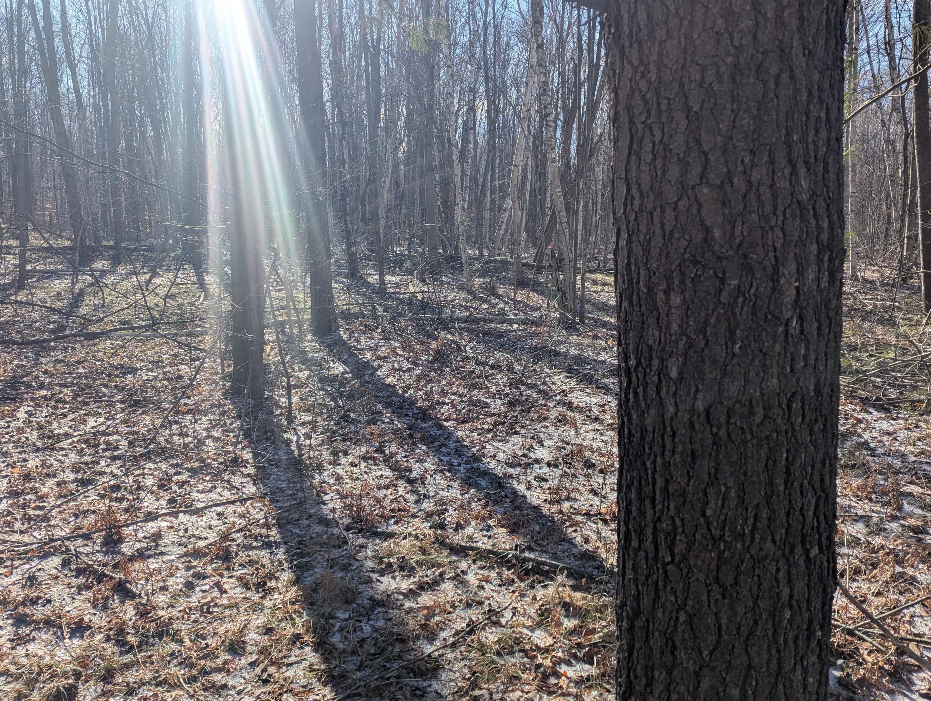 0 East Road Montrose, MI 48457 - Photo 5 of 14 PXL_20260314_144642707