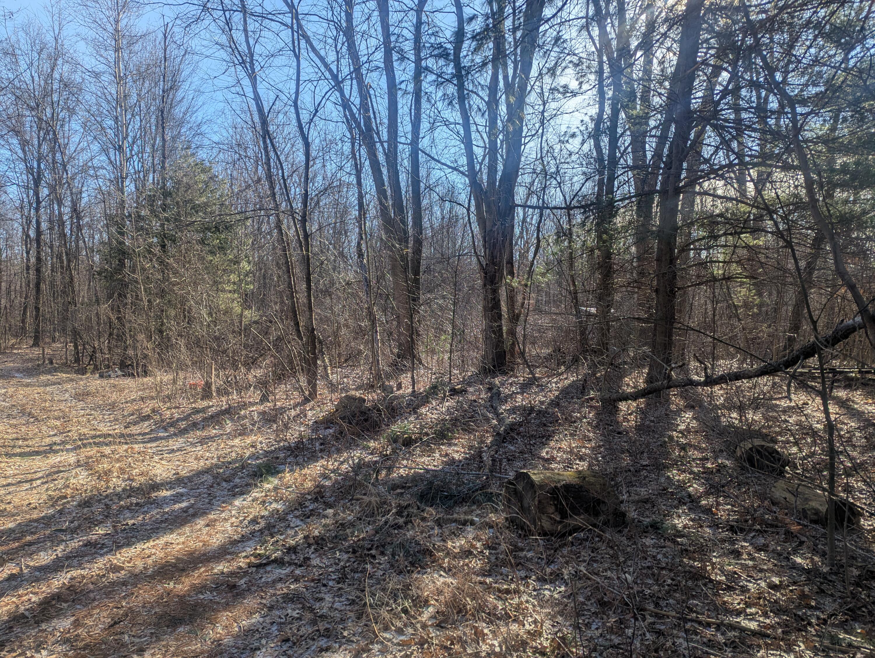 0 East Road Montrose, MI 48457 - Photo 8 of 14 PXL_20260314_142844214