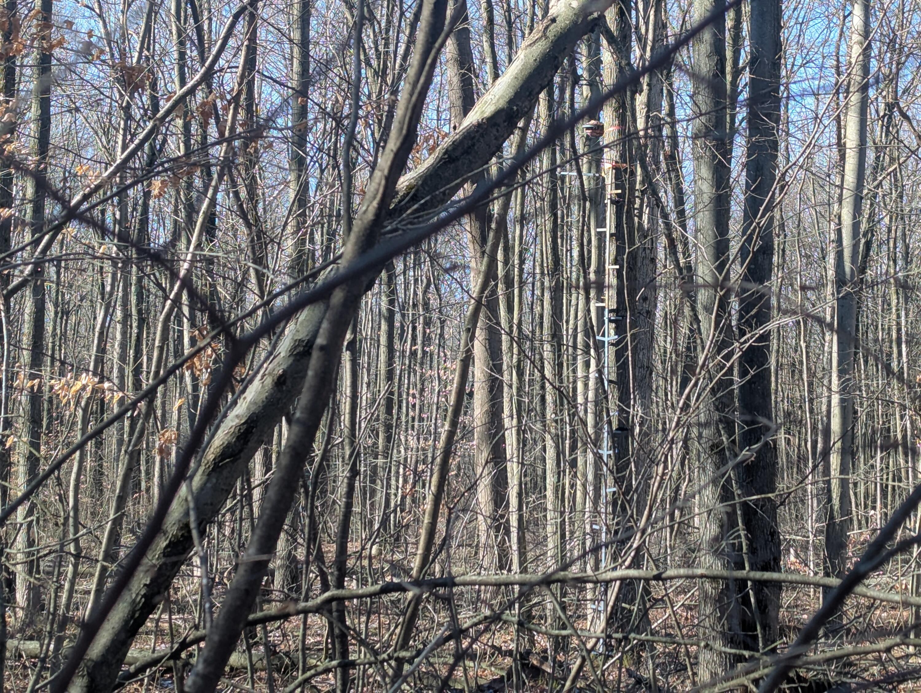 0 East Road Montrose, MI 48457 - Photo 10 of 14 PXL_20260314_143942607