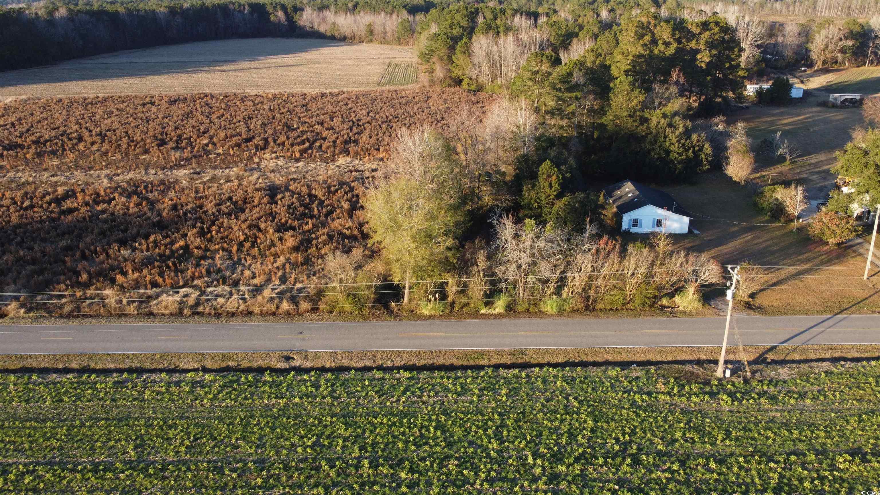 5441 Carolina Road Green Sea, SC 29545 - Photo 4 of 11