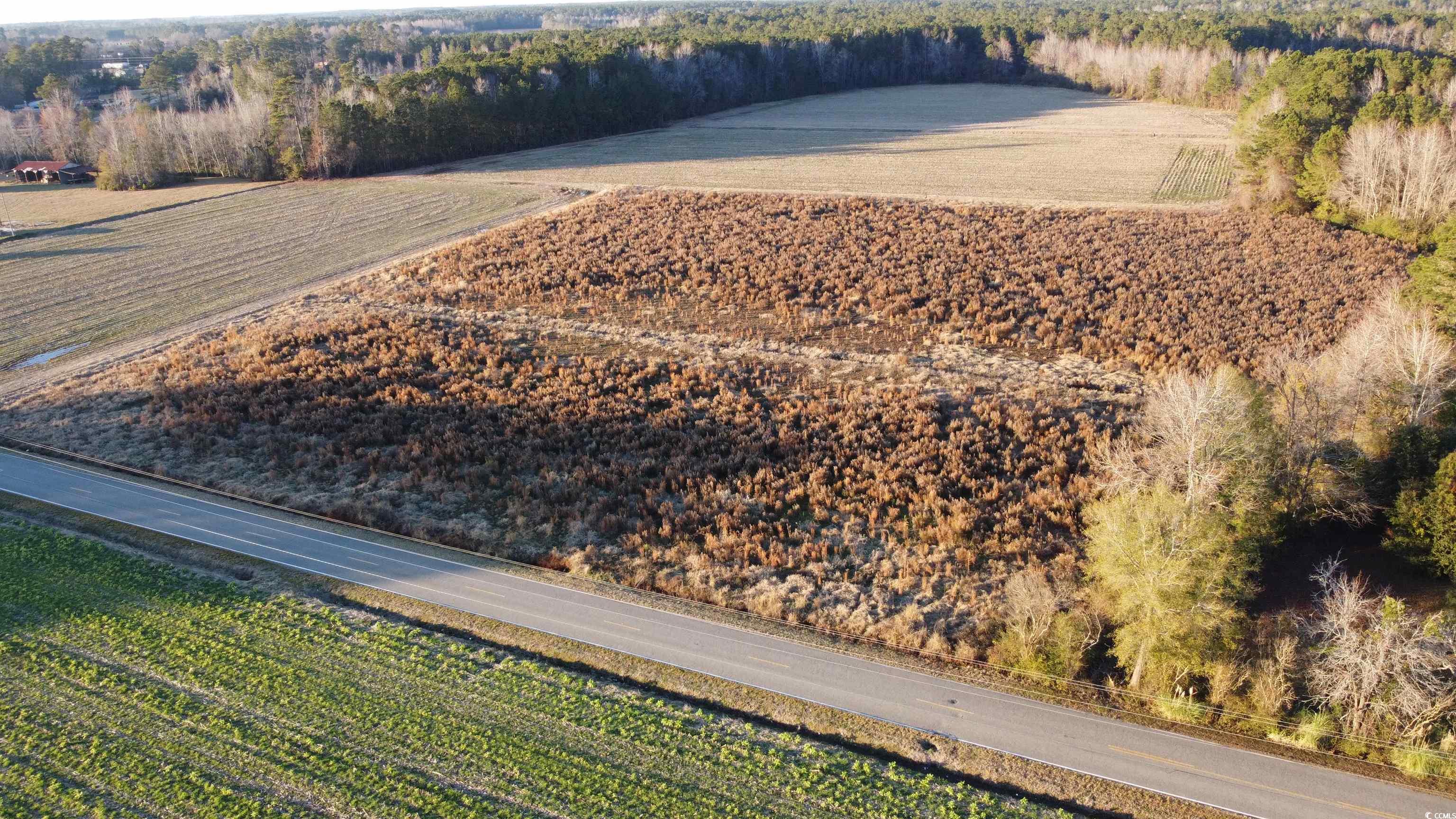 5441 Carolina Road Green Sea, SC 29545 - Photo 6 of 11