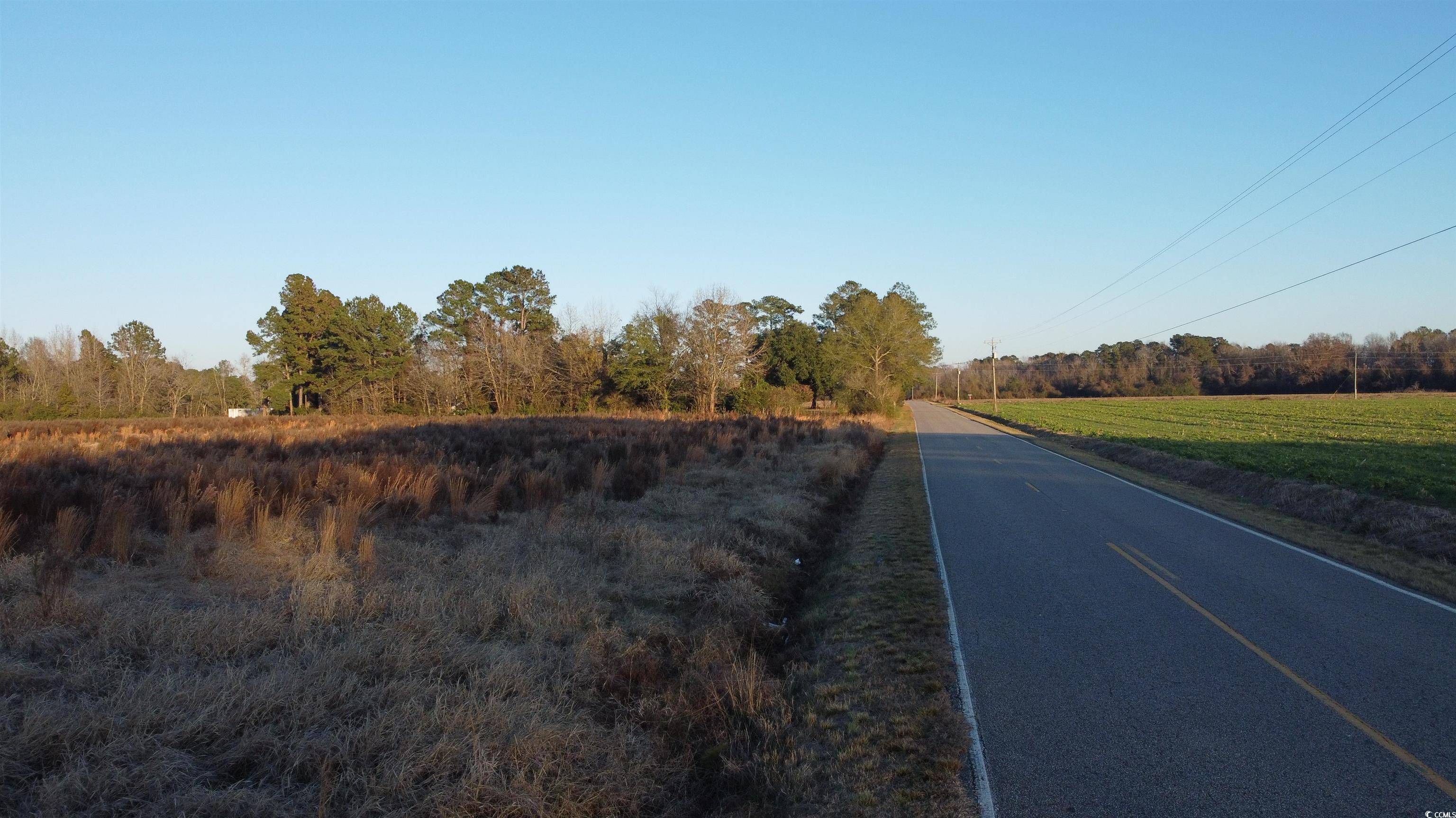 5441 Carolina Road Green Sea, SC 29545 - Photo 8 of 11