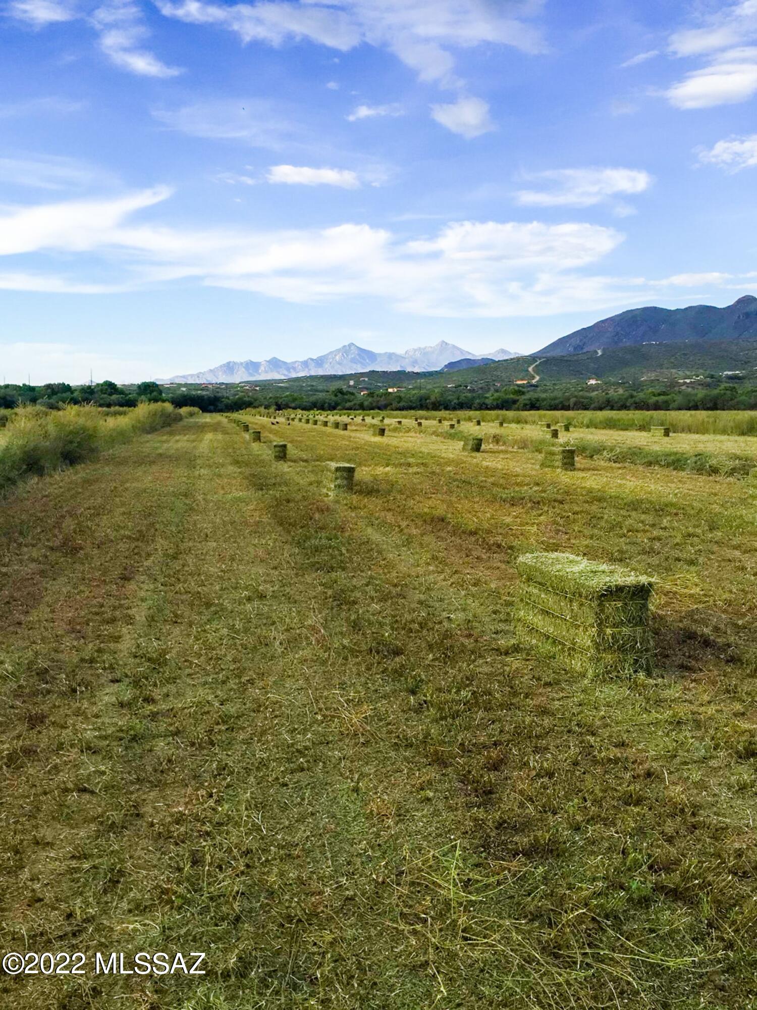 Dos Arbolitos Ranch Rio Rico, AZ 85648 - Photo 2 of 19