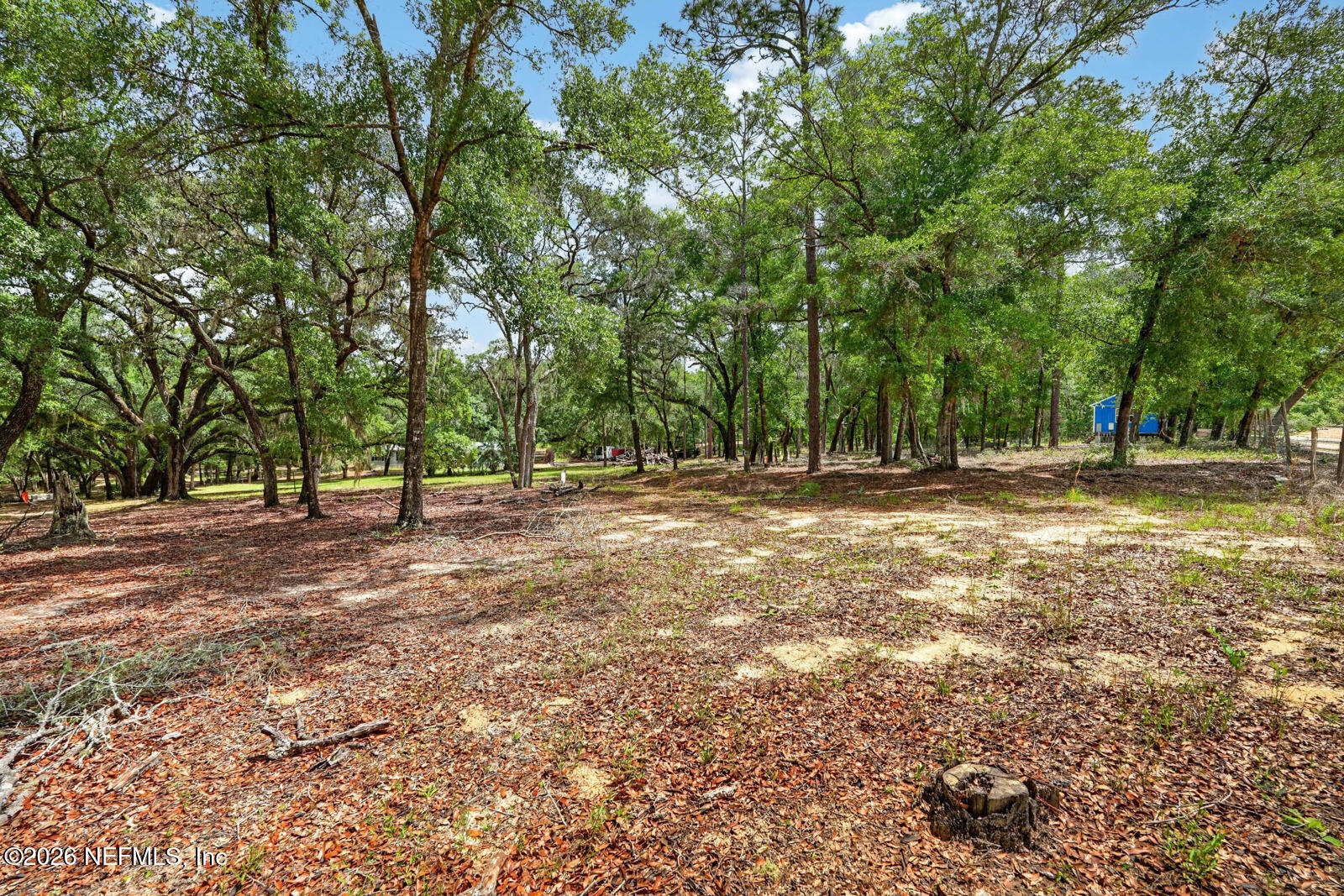 134 Windy Hills Road Hawthorne, FL 32640 - Photo 41 of 66 48_dsc09749