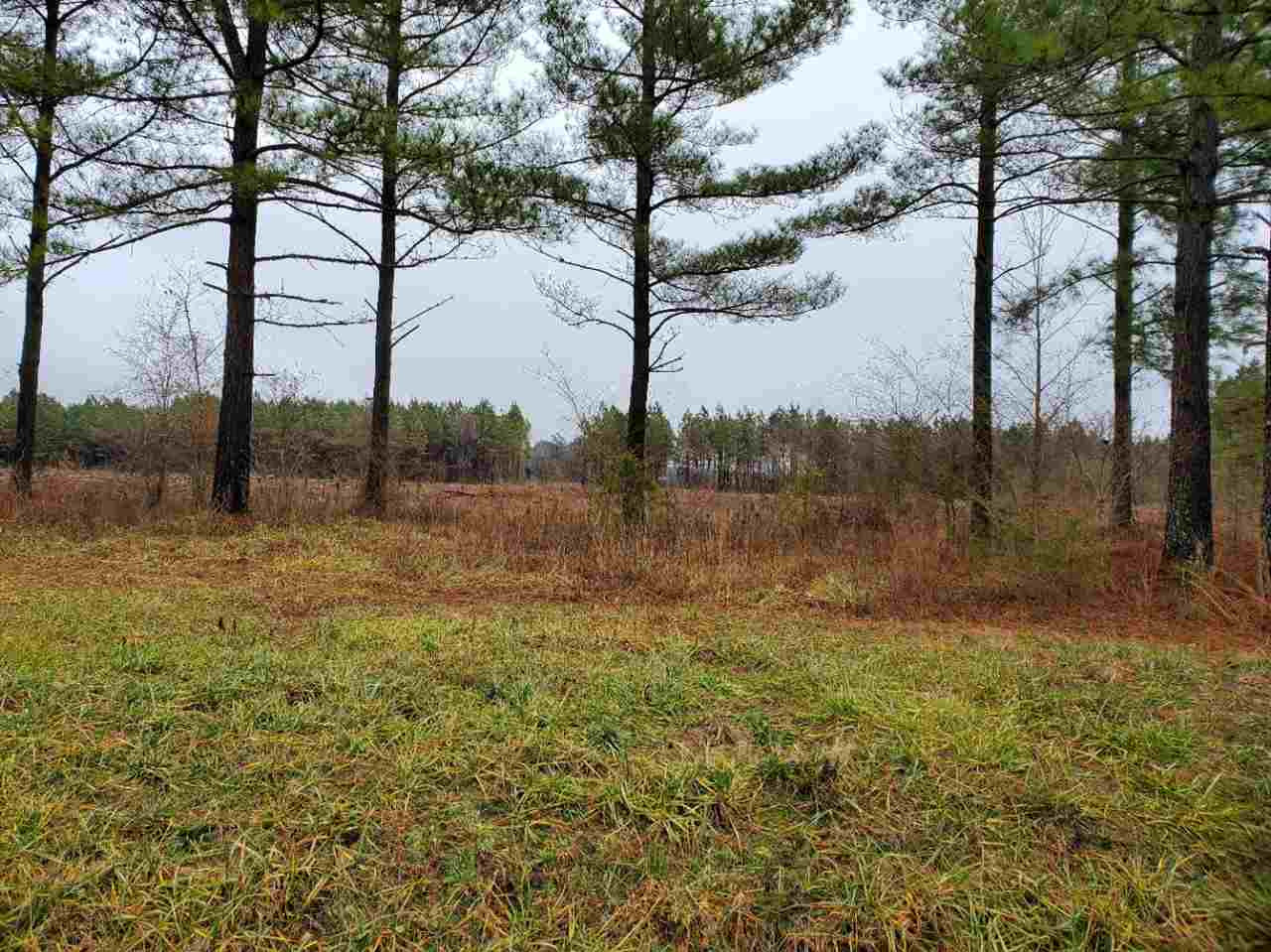Hoyt Road Middlesex, NC 27557 - Photo 2 of 3 Photo 2
