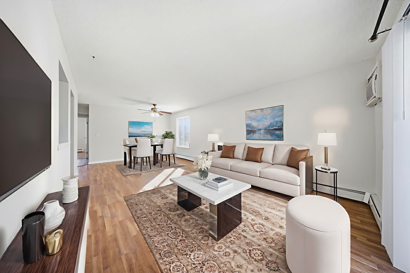 291 North Gregory Street, Unit 6 Aurora, IL 60504 - Photo 9 of 27 a living room with furniture a flat screen tv and a rug