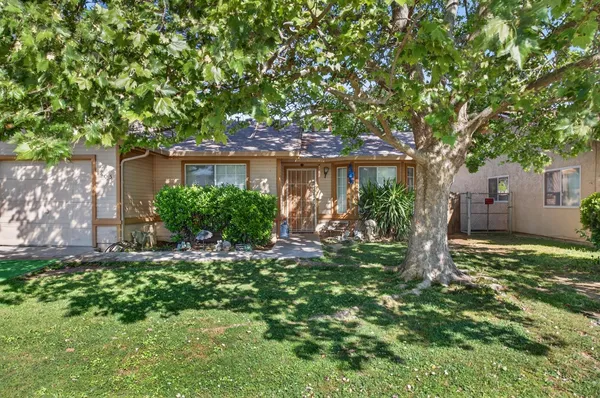 a backyard of a house with plants and large trees