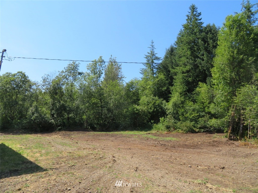 20 Winkleman Road South Montesano, WA 98563 - Photo 6 of 11 Gallery Image 6