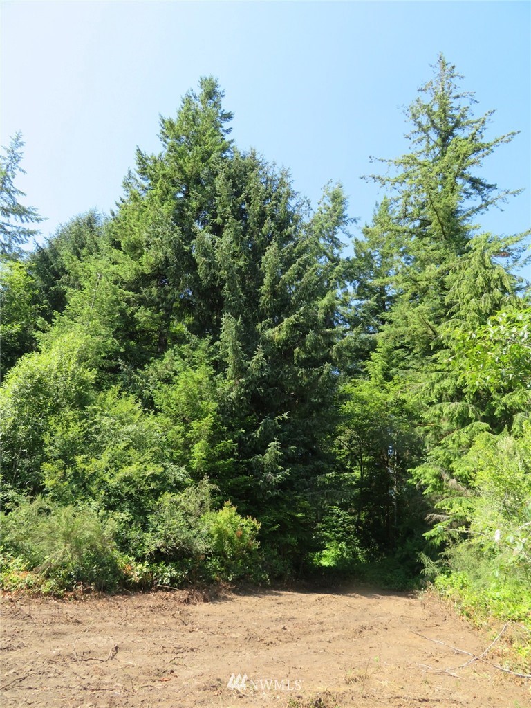 20 Winkleman Road South Montesano, WA 98563 - Photo 9 of 11 Gallery Image 9