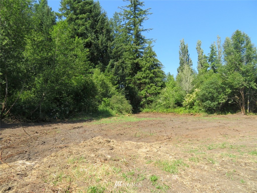 20 Winkleman Road South Montesano, WA 98563 - Photo 10 of 11 Gallery Image 10