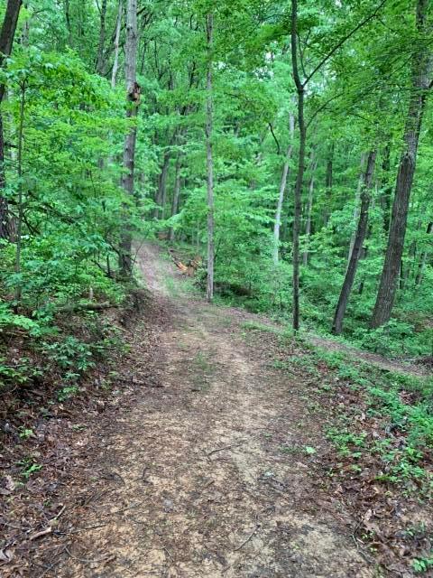 14218 Little Cola Road Rockbridge, OH 43149 - Photo 23 of 31 Trails_2