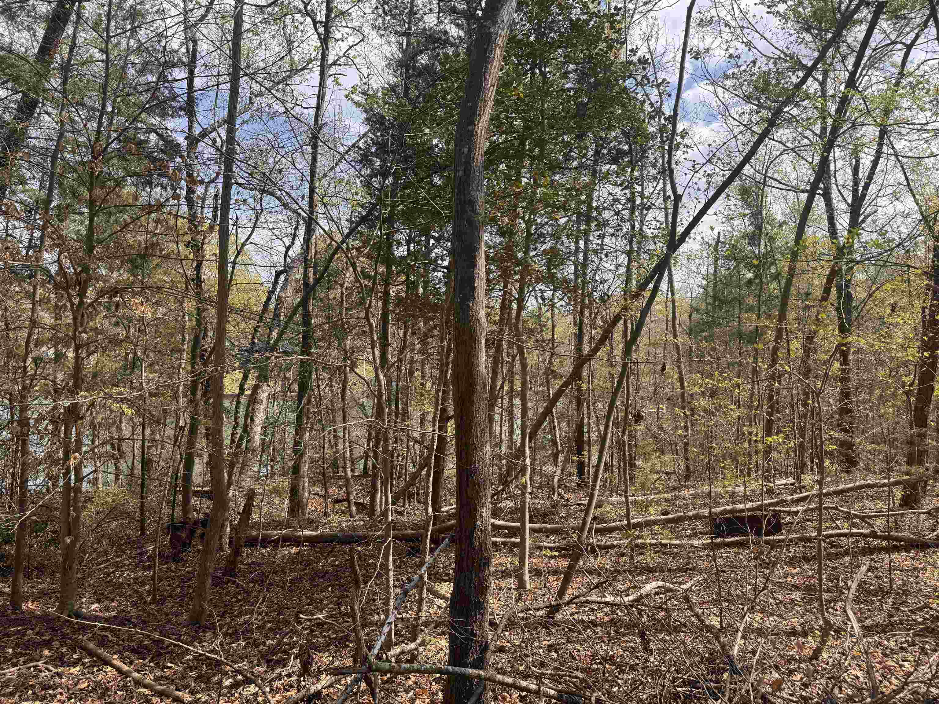 0 Lancaster Road Roebuck, SC 29376 - Photo 12 of 16