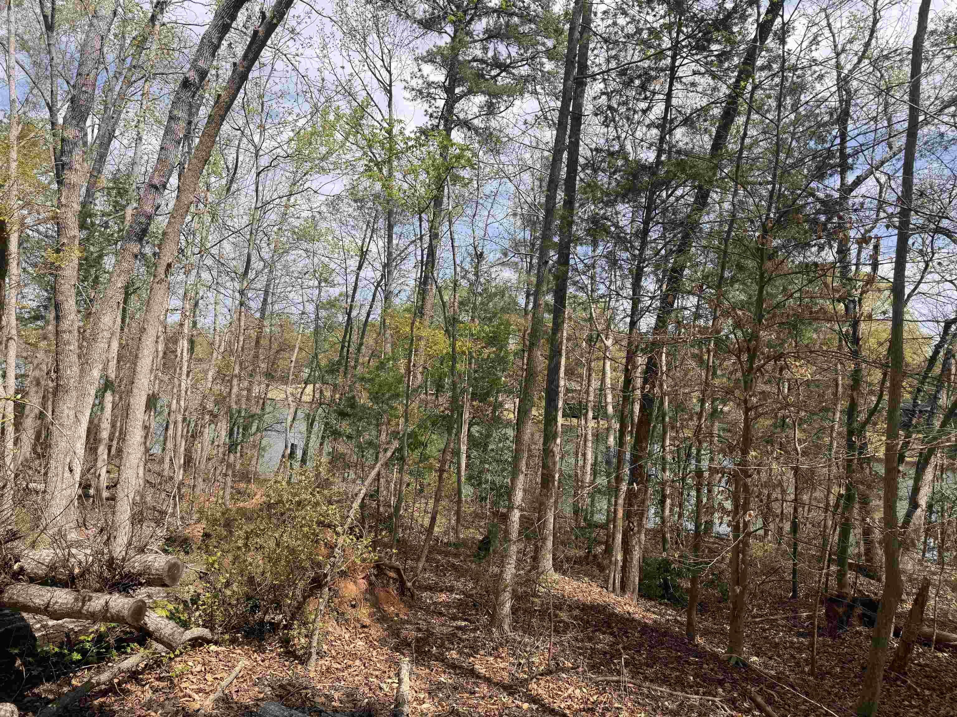 0 Lancaster Road Roebuck, SC 29376 - Photo 13 of 16