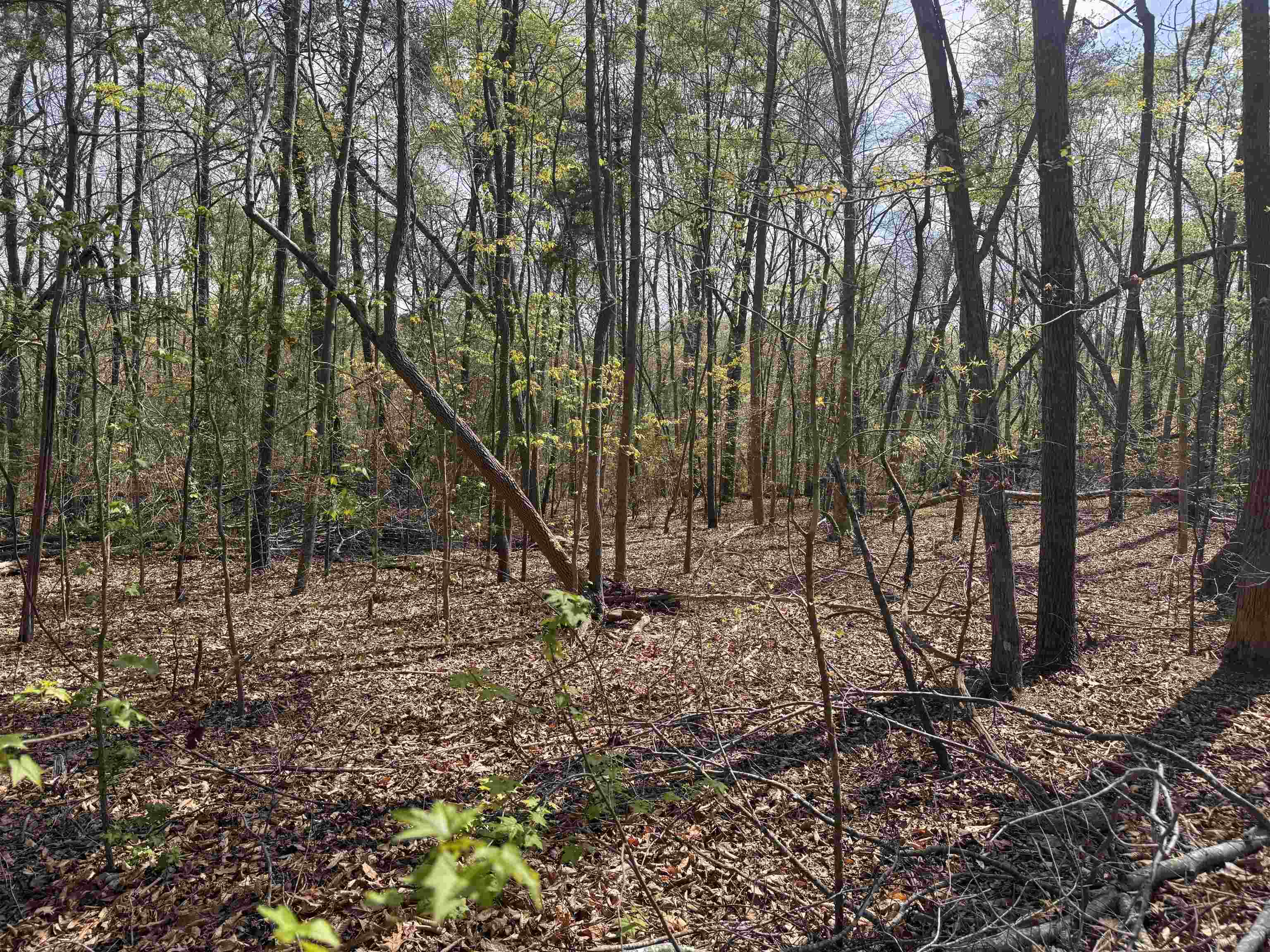 0 Lancaster Road Roebuck, SC 29376 - Photo 15 of 16