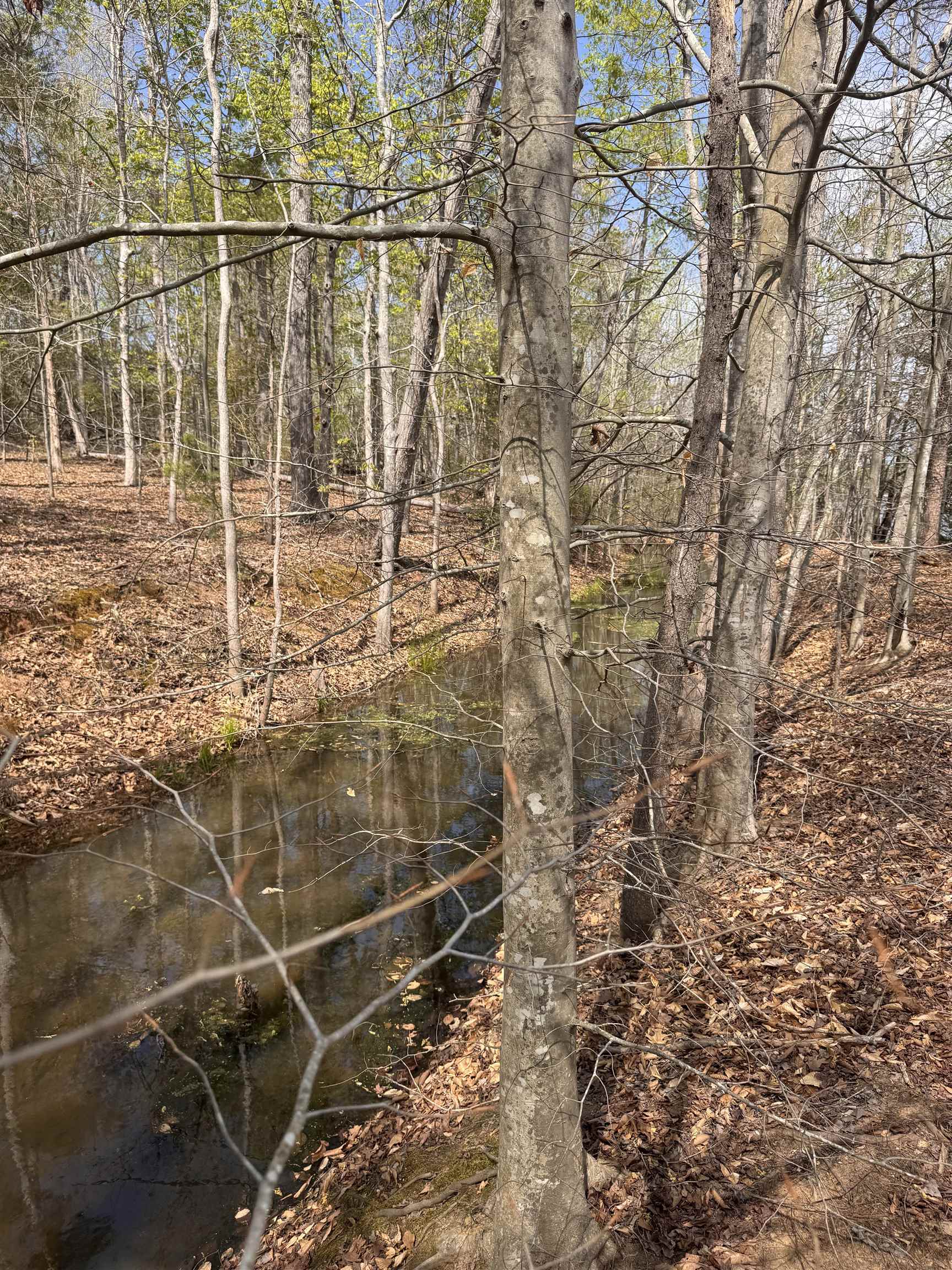 0 Lancaster Road Roebuck, SC 29376 - Photo 6 of 16