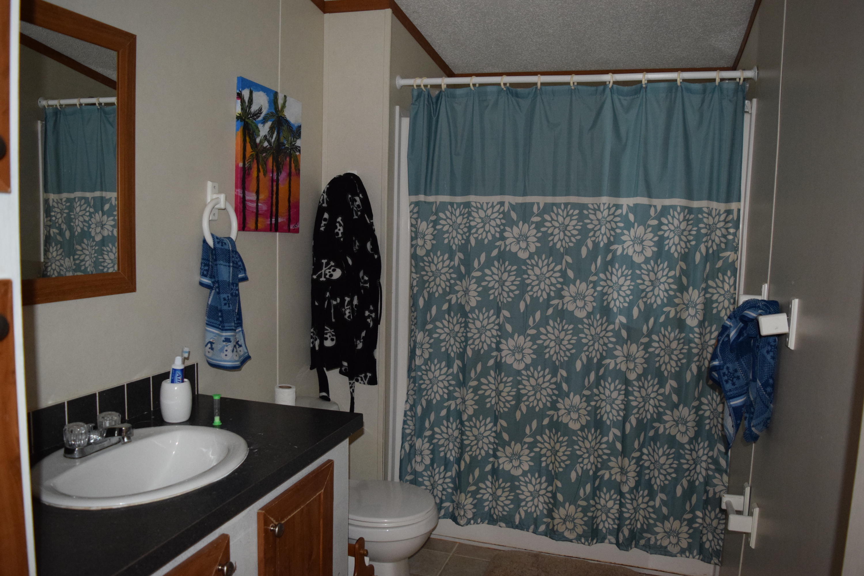 122 Laura Boling Loop Road Strawberry Plains, TN 37871 - Photo 12 of 13 2nd Bathroom