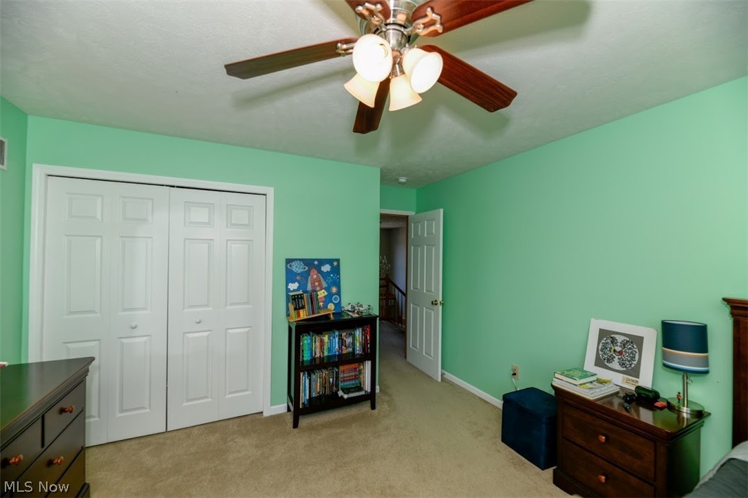 789 Brook Road Wadsworth, OH 44281 - Photo 32 of 34 Gallery Image 32