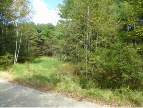 10 Kline Road Center Harbor, NH 03226 - Photo 4 of 23 Gallery Image 4