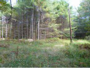 10 Kline Road Center Harbor, NH 03226 - Photo 6 of 23 Gallery Image 6