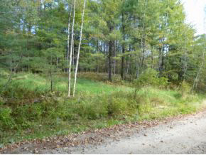 10 Kline Road Center Harbor, NH 03226 - Photo 8 of 23 Gallery Image 8
