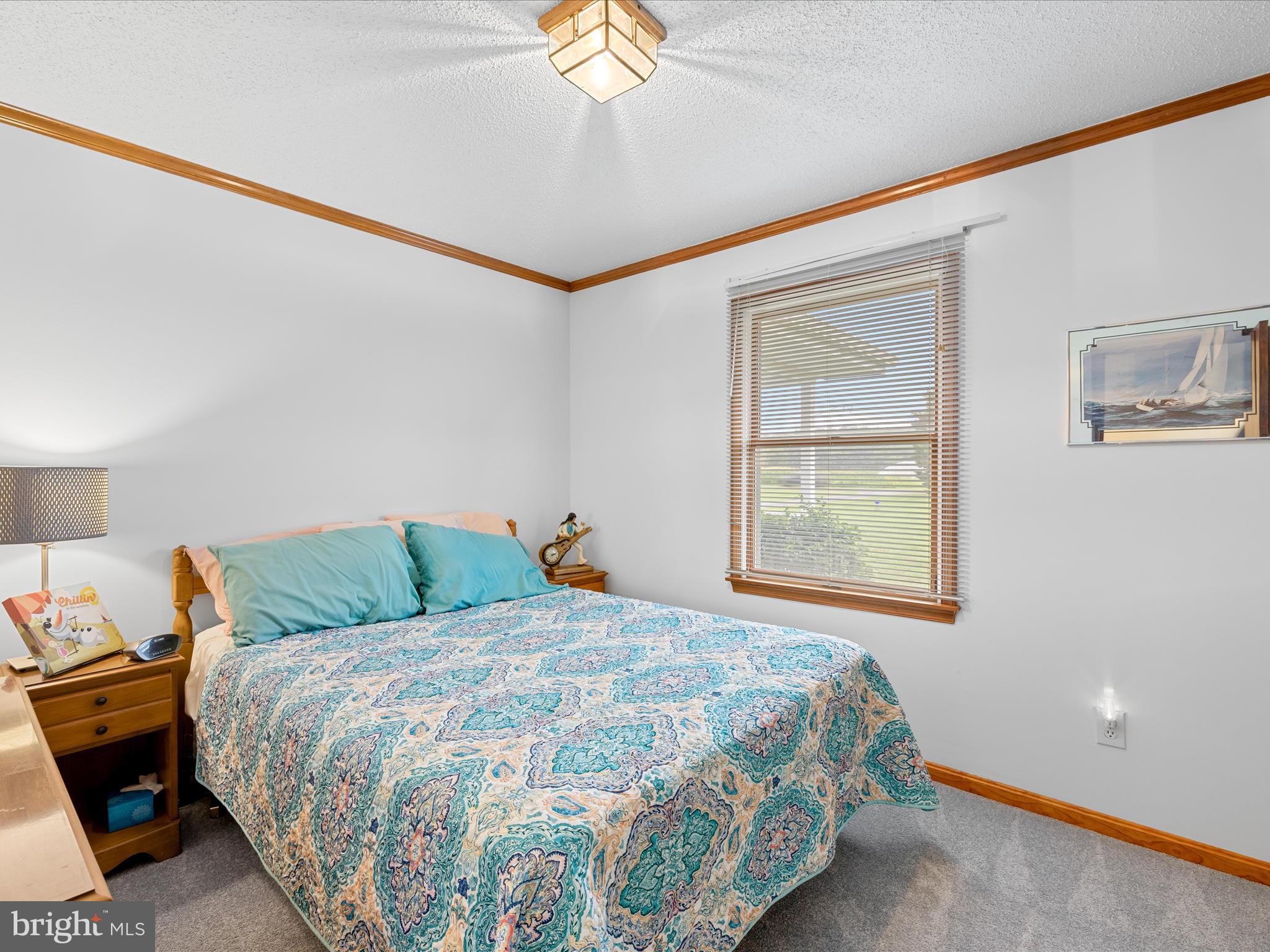 11125 St Martins Neck Road Bishopville, MD 21813 - Photo 13 of 47