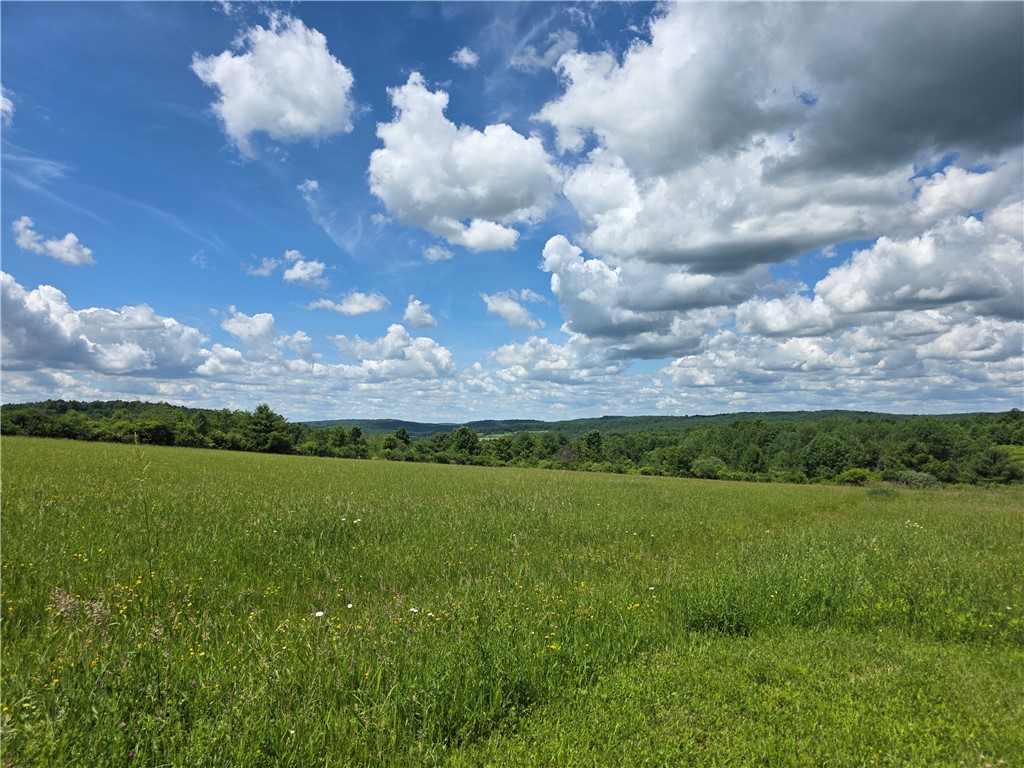271 Prospect Hill Road Barton, NY 14892 - Photo 12 of 41