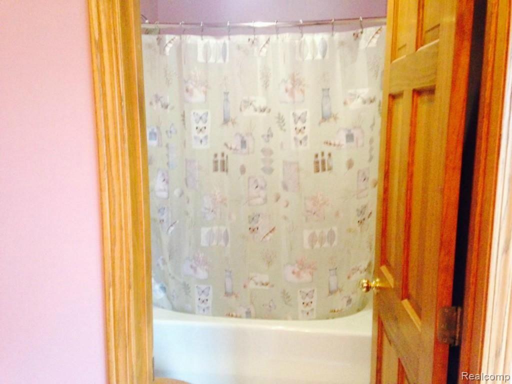 12735 Dunn Road Memphis, MI 48041 - Photo 14 of 31 master bath