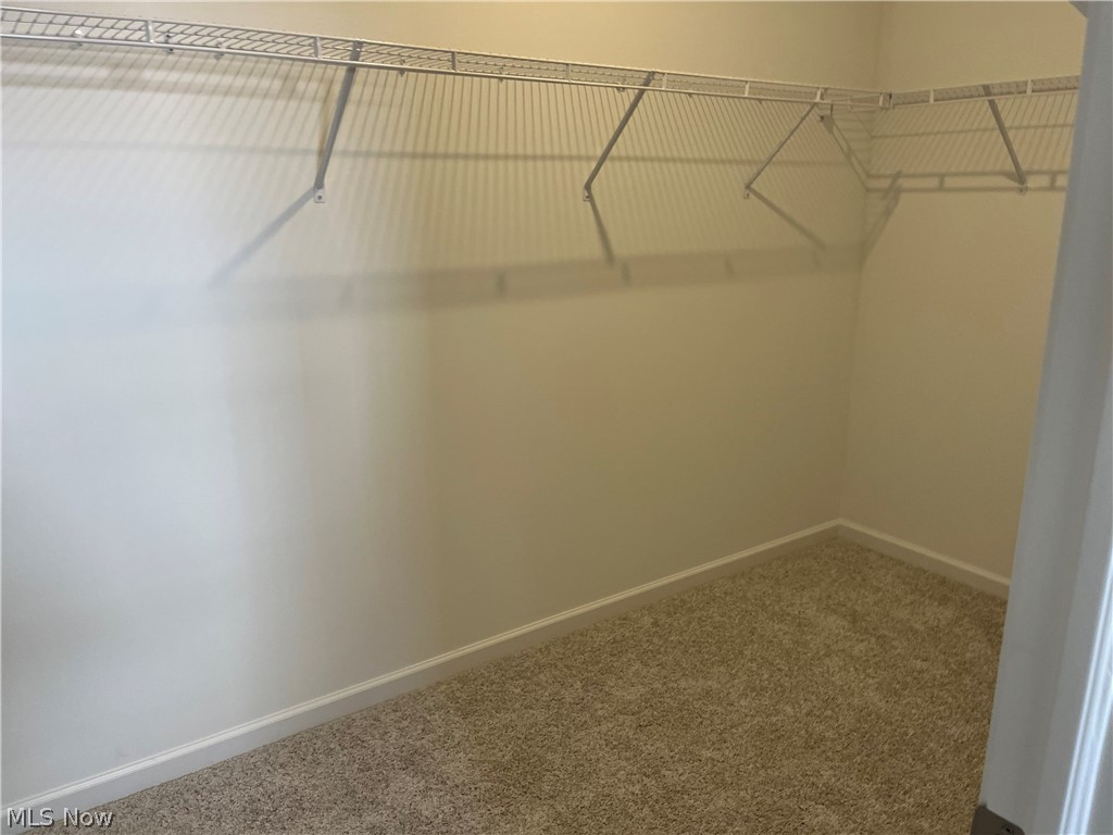 162 Seamore Road Aurora, OH 44202 - Photo 8 of 14 Owners walk in closet featuring carpet floors