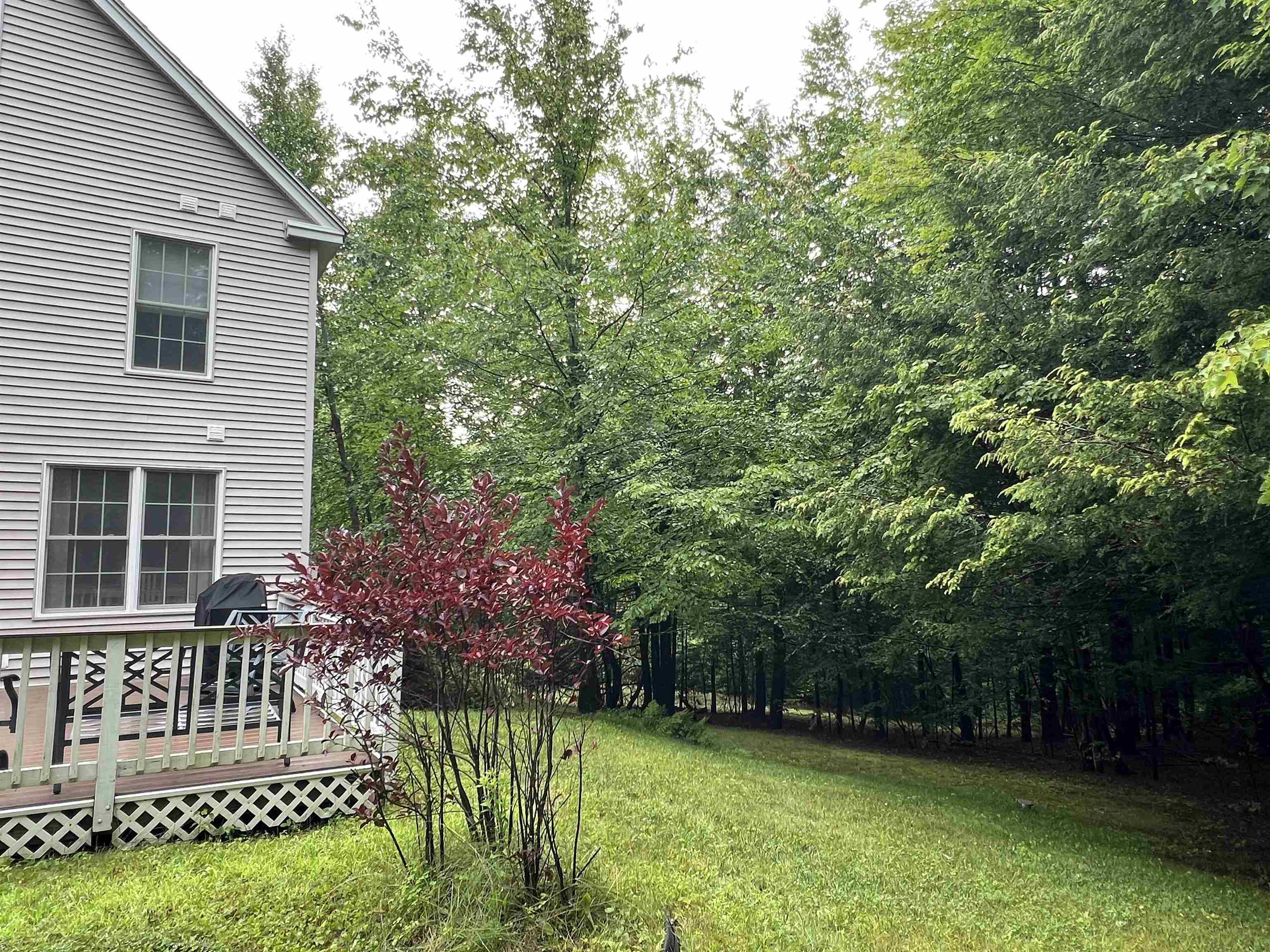 109 Dane Road New Boston, NH 03070 - Photo 51 of 60 Gallery Image 51