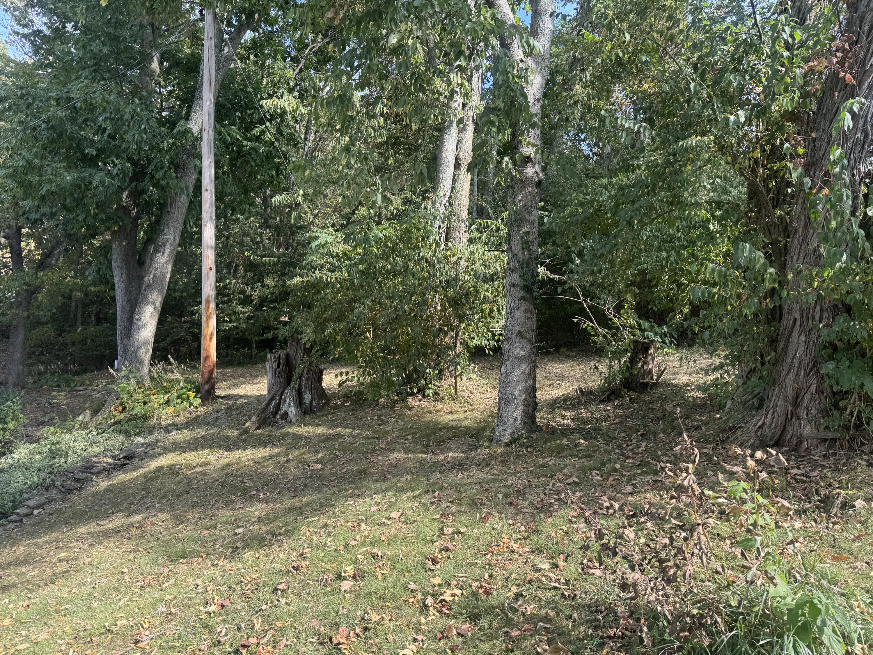 381 Wright Road Walton, KY 41094 - Photo 11 of 42