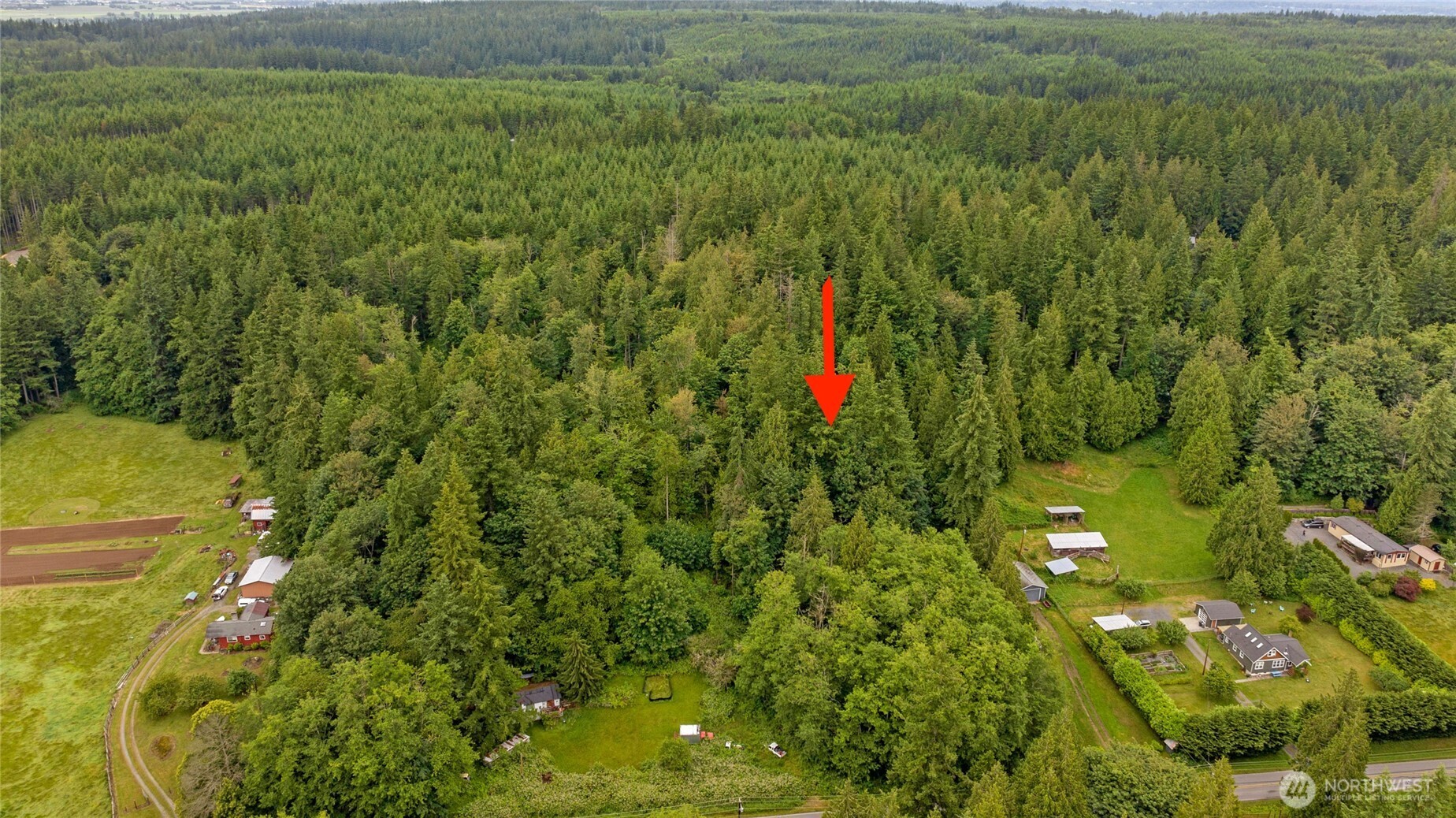 0 Lakewood Road Stanwood, WA 98292 - Photo 2 of 4 a view of a pathway of a building