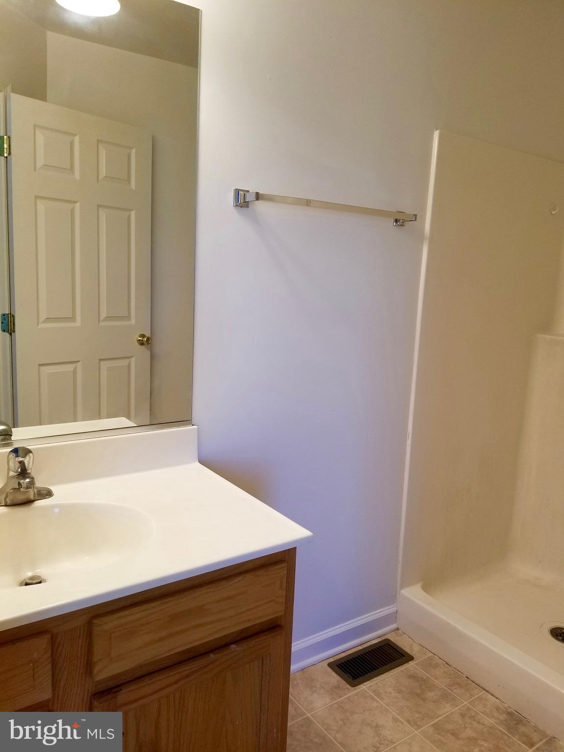 107 Fuzzy Tail Drive Ranson, WV 25438 - Photo 22 of 30 Bath (Master)