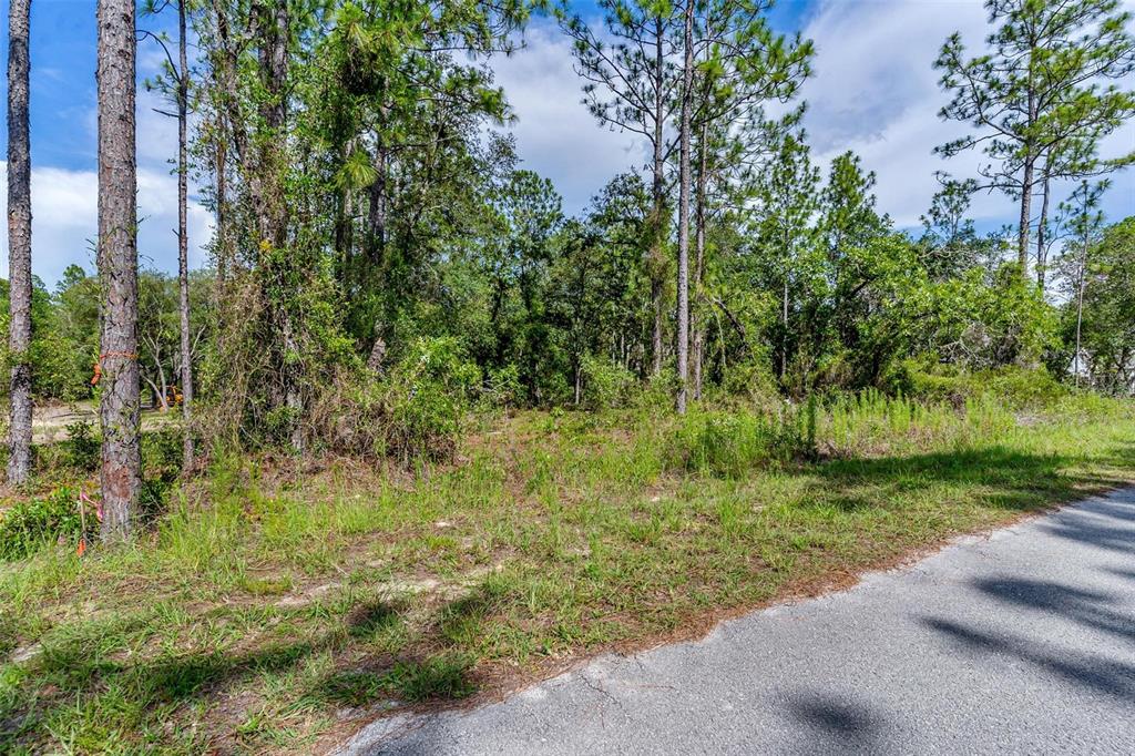 Southwest Viola Court Dunnellon, FL 34431 - Photo 1 of 9