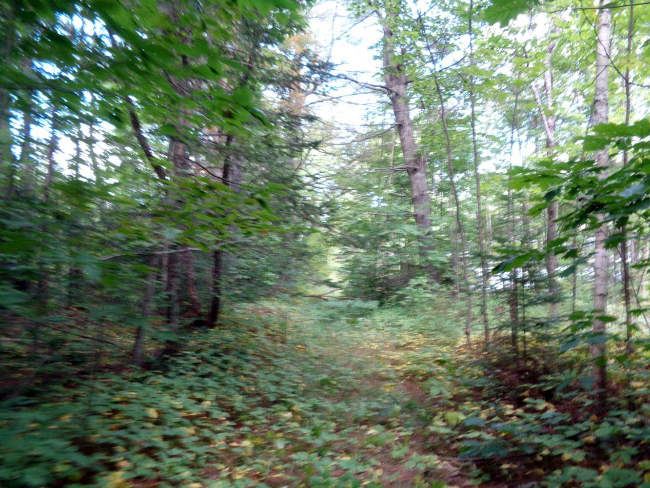 M5-l9c Winnecook Road Burnham, ME 04922 - Photo 5 of 7 DSC07227