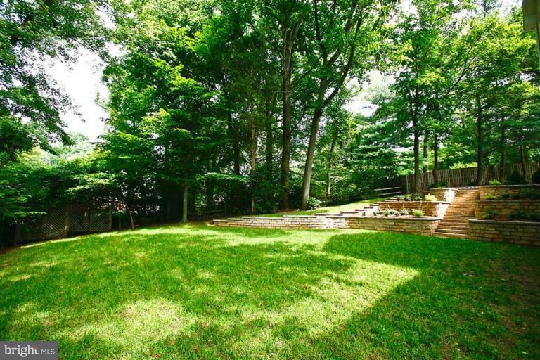9924 Carter Road Bethesda, MD 20817 - Photo 16 of 18 Back yard