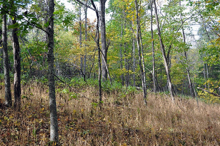 100 Back Creek Road Peterstown, WV 24963 - Photo 16 of 29 Gallery Image 16