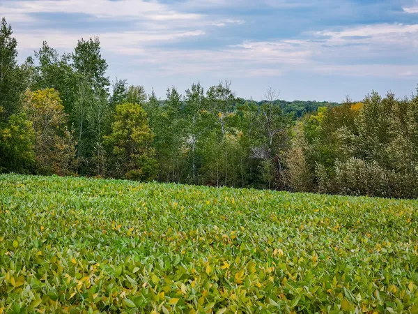 $289,500 | 34774 400th Street Southeast, Fosston, MN 56542