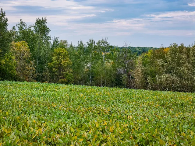 $289,500 | 34774 400th Street Southeast, Fosston, MN 56542